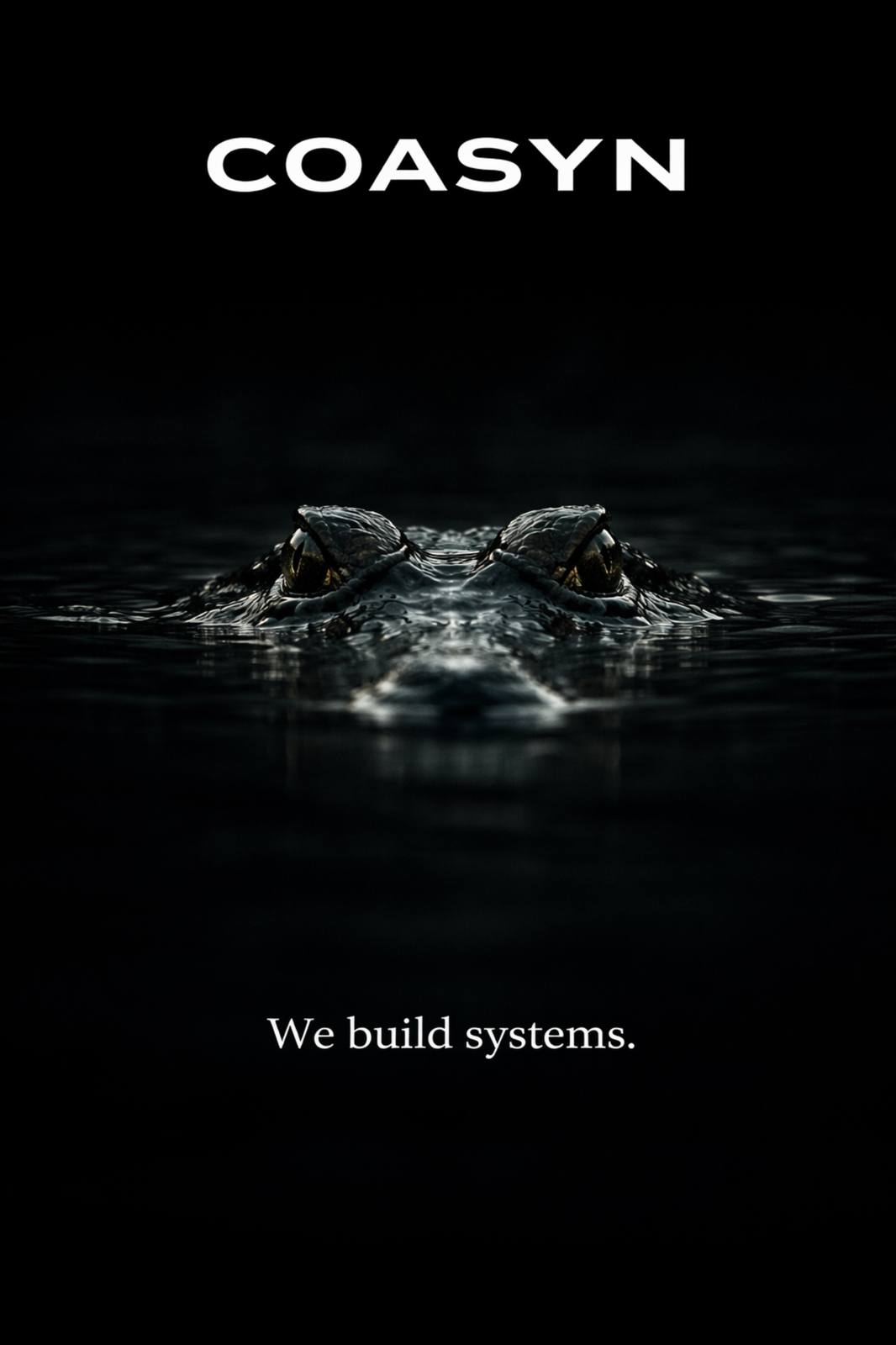 We build systems support image
